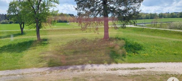 Commercial property in Utzenaich, Austria No. 44267 16