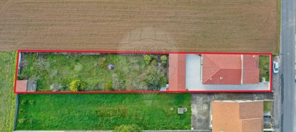 4 bedrooms House in Oliveirinha, Portugal No. 180948 2