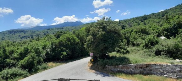 4 Schlafzimmer Gewerbliche Immobilie in Katerini, Greece, Nr. 3089 22