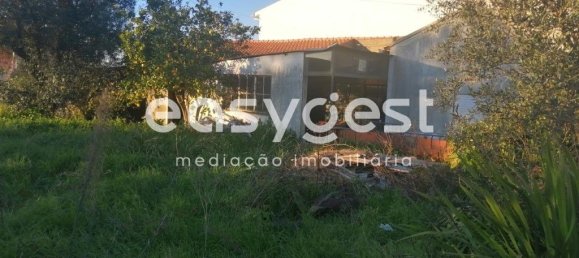 4 bedrooms House in Coimbra, Portugal No. 90921 5