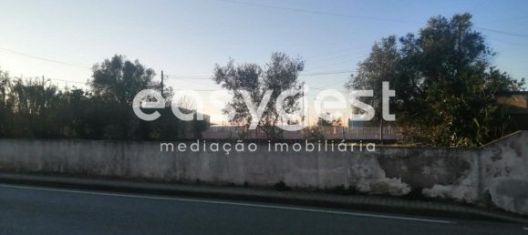 4 bedrooms House in Coimbra, Portugal No. 90921 9