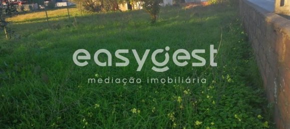 4 bedrooms House in Coimbra, Portugal No. 90921 7