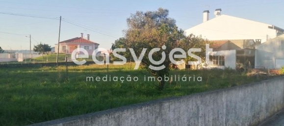 4 bedrooms House in Coimbra, Portugal No. 90921 11