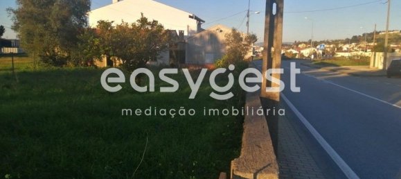 4 bedrooms House in Coimbra, Portugal No. 90921 8