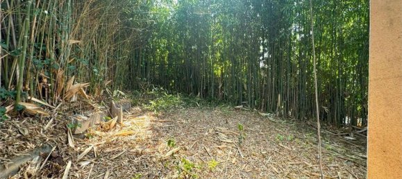 1 bedroom House in San Bonifacio, Italy No. 318184 13