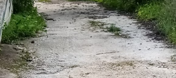 Terreno em Loulé, Portugal N.º 60265 13