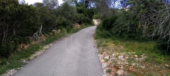 Terreno em Loulé, Portugal N.º 60265 12