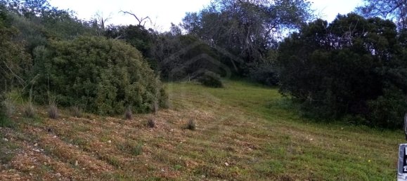 Terreno em Loulé, Portugal N.º 60265 7