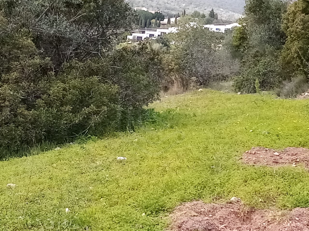 Terreno em Loulé, Portugal N.º 60265