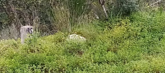 Terreno em Loulé, Portugal N.º 60265 4