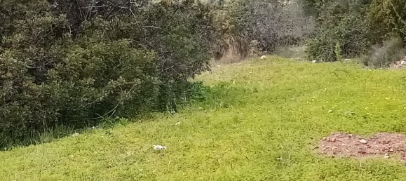 Terreno em Loulé, Portugal N.º 60265 8