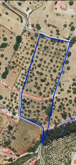  قطعة أرض في Coin, Spain 10000متر مربع رقم 229544