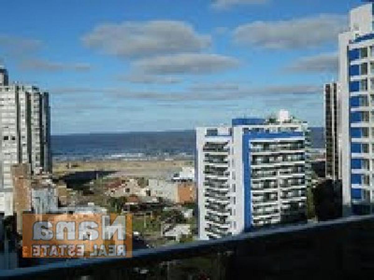 Studio in Maldonado, Uruguay No. 3525