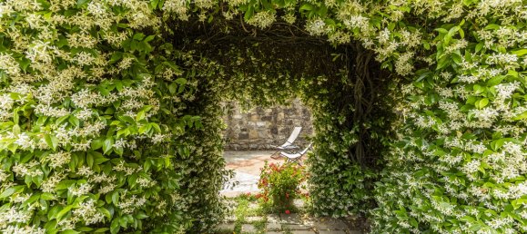 5 bedrooms Building in Laterina Pergine Valdarno, Italy No. 160430 32