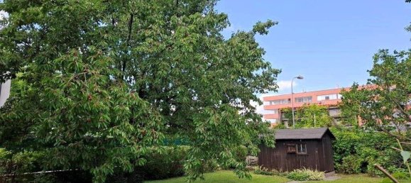 4غرفة منزل في Liesing, Austria رقم 151553 27