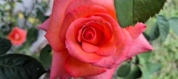 4غرفة منزل في Liesing, Austria رقم 151553 23