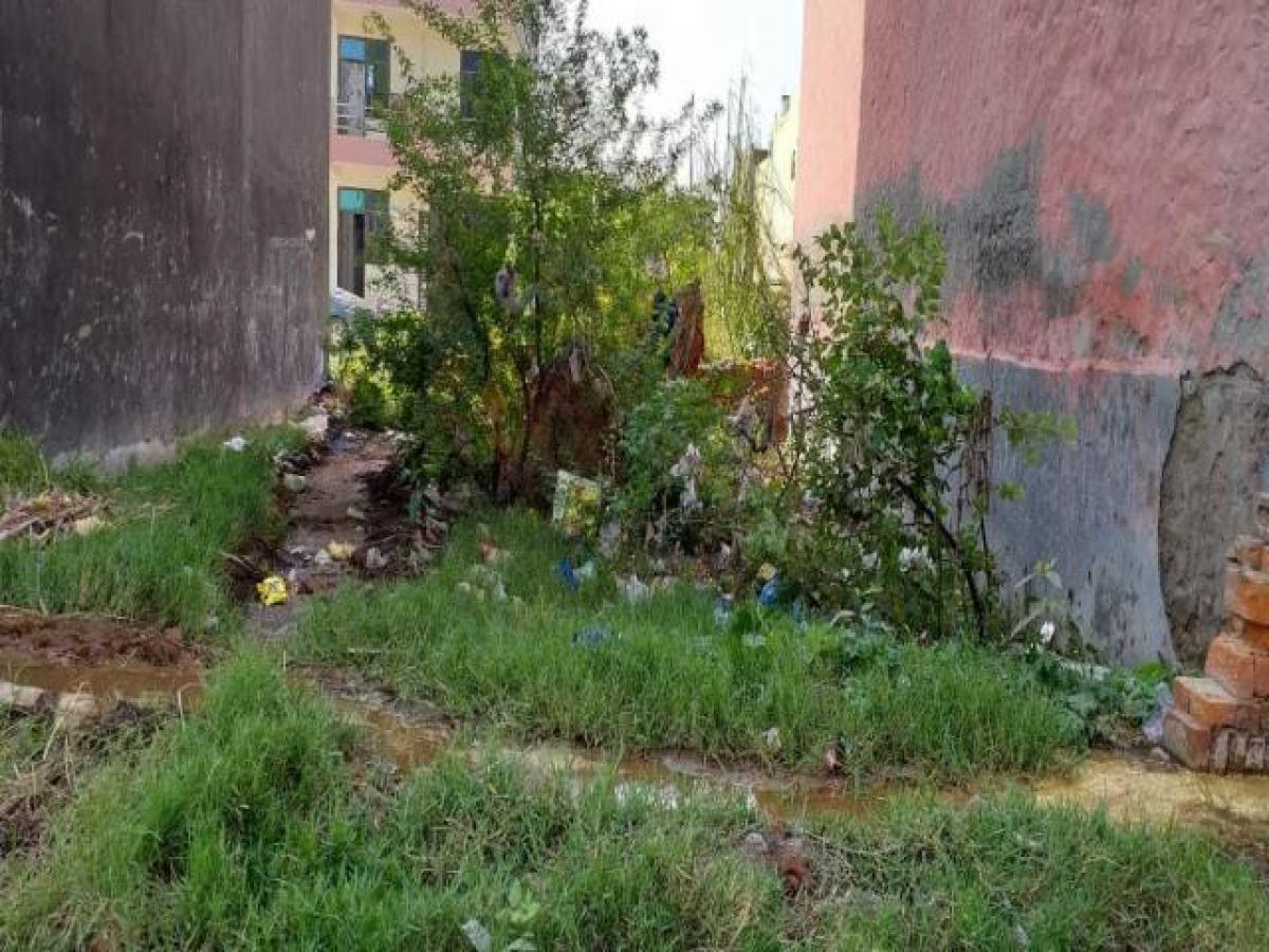  Land in Noida, India No. 36866