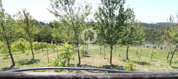 1 bedroom House in Ribeirao, Portugal No. 34340 9