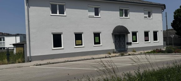 2 bedrooms Apartment in Wiener Neustadt, Austria No. 151238 11