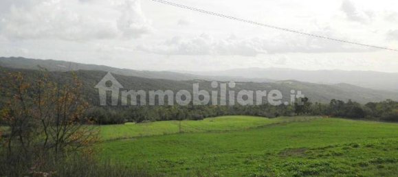 5 chambres Maison à Riparbella, Italy No. 87623 14