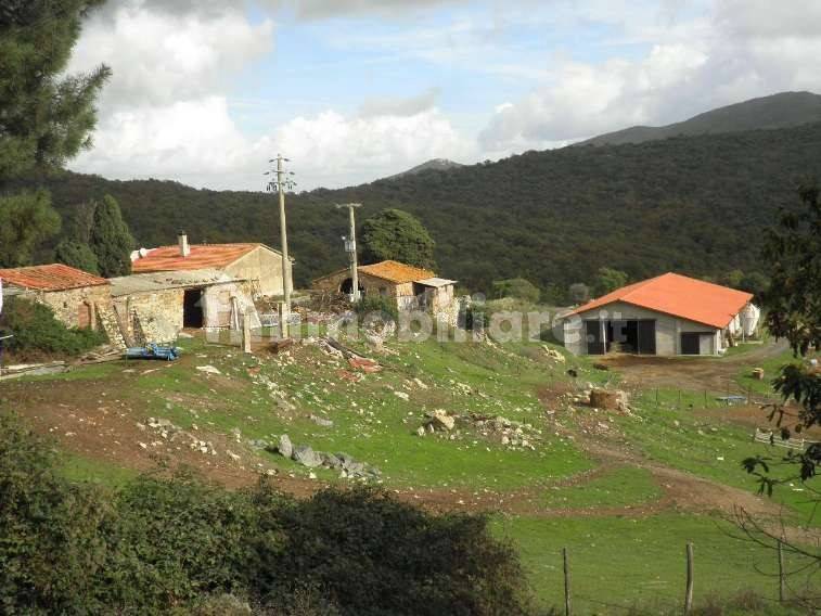 5 chambres Maison à Riparbella, Italy No. 87623