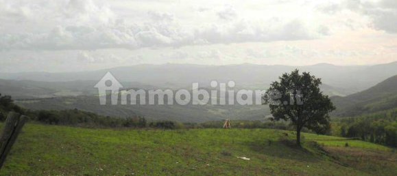 5 chambres Maison à Riparbella, Italy No. 87623 13