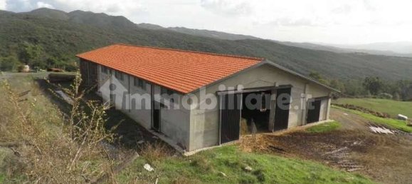 5 chambres Maison à Riparbella, Italy No. 87623 5