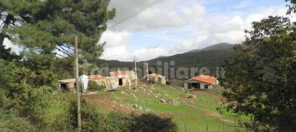 5 chambres Maison à Riparbella, Italy No. 87623 15