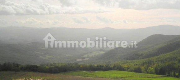 5 chambres Maison à Riparbella, Italy No. 87623 12