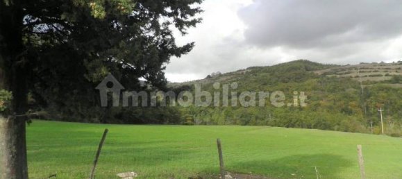 5 chambres Maison à Riparbella, Italy No. 87623 6