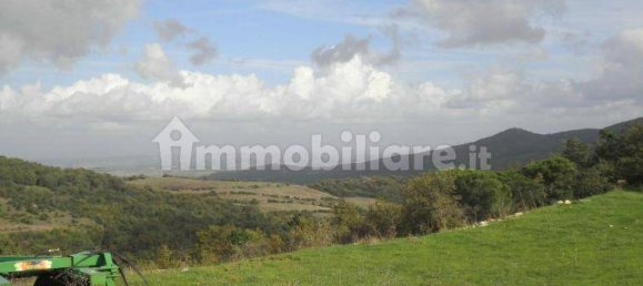 5 chambres Maison à Riparbella, Italy No. 87623 11