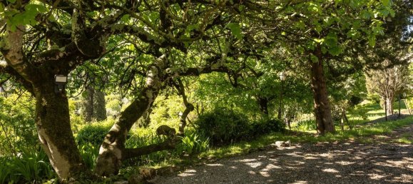 4 bedrooms Villa in Le Bar-sur-Loup, France No. 1415 9