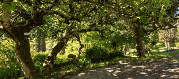 4 bedrooms Villa in Le Bar-sur-Loup, France No. 1415 9