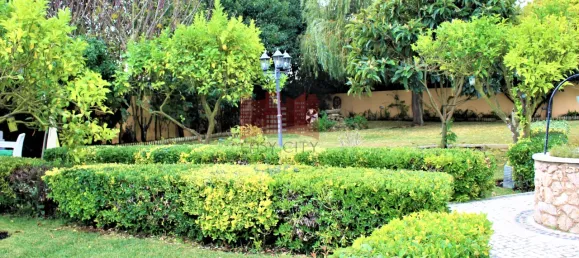 3 Schlafzimmer Haus in Sintra, Portugal, Nr. 151185 6