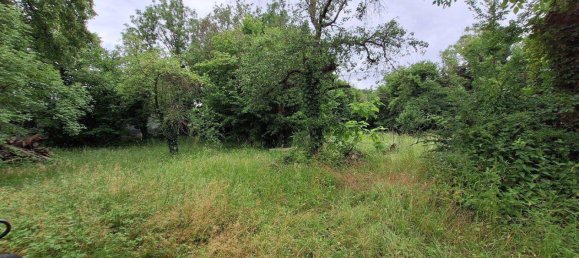 Casa de 4 habitaciónes en Neunkirchen, Austria No. 216613 14