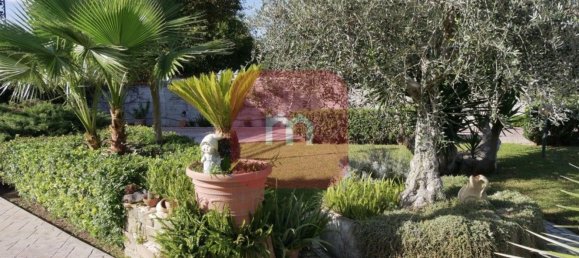 9-Zimmer Villa in Ardea, Italy, Nr. 214393 43