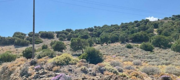 32680m² Hotel in Heraklion, Greece No. 3585 4