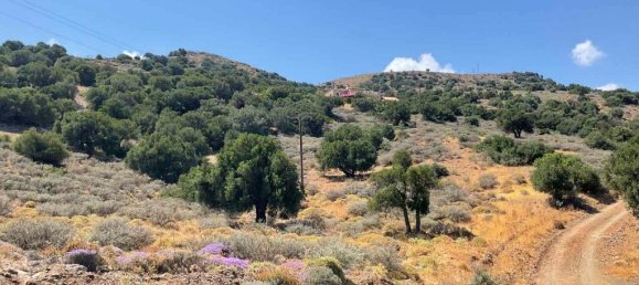 32680m² Hotel in Heraklion, Greece No. 3585 7