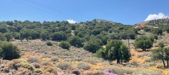 32680m² Hotel in Heraklion, Greece No. 3585 3