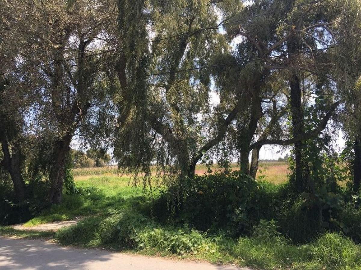 Terrain à San Mateo Atenco, Mexico No. 206104