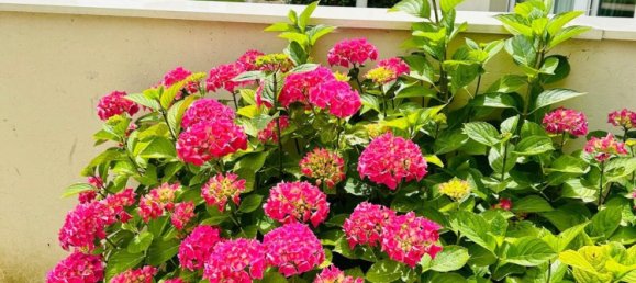 Дуплекс с 2 спальнями в Аржантёй, Франция № 348731 8