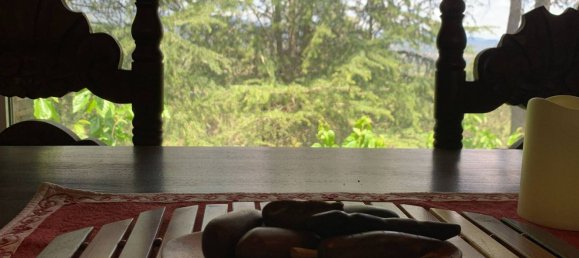 5 bedrooms House in Sant Celoni, Spain No. 113773 13