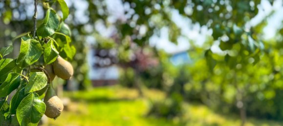 7 rooms House in Rostock, Germany No. 241632 30