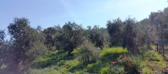 4010m² Hotel in Corfu, Greece No. 6396 8