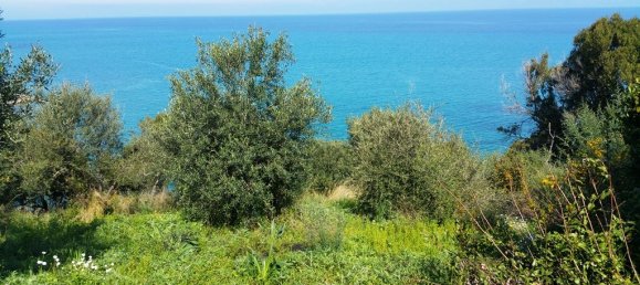 4010m² Hotel in Corfu, Greece No. 6396 7