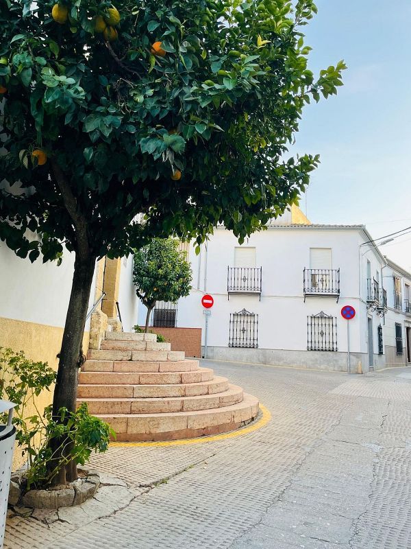 4 bedrooms House in Cordoba, Spain No. 227293