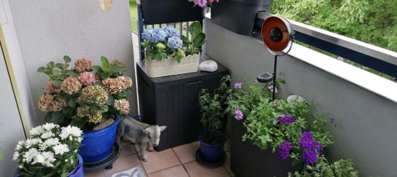 5غرفة شقة في Hard, Austria رقم 250316 3