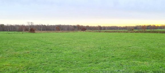 Земельный участок 30000м² в Аммерланд, Германия № 164714 2