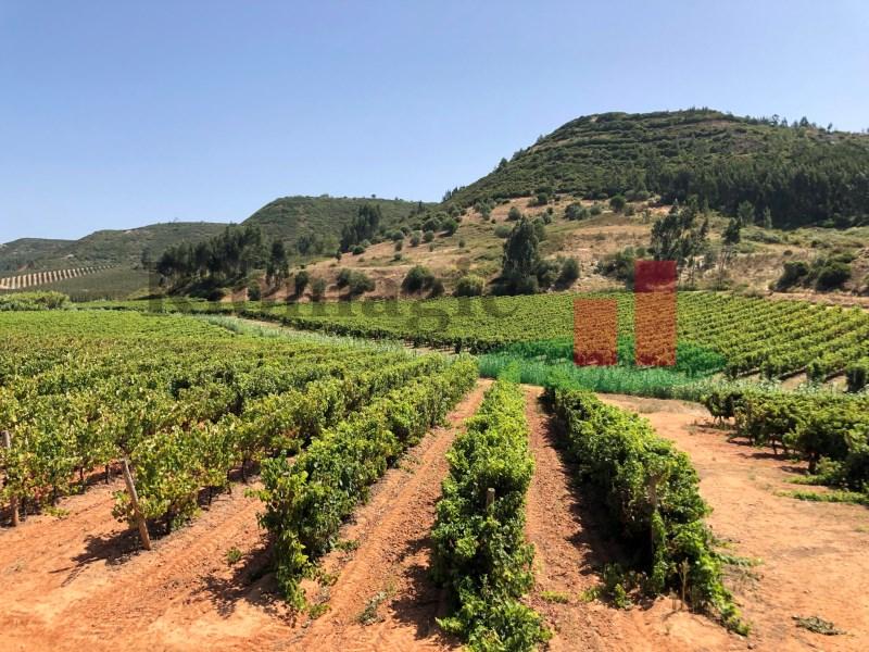 Земельный участок 200600м² в Алкоэнтре, Португалия № 71712