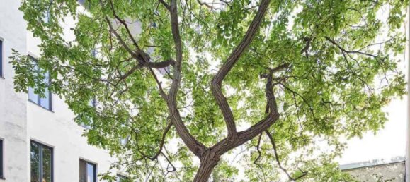 Apartamento de 3 habitaciónes en Rudolfsheim-Funfhaus, Austria No. 215772 7